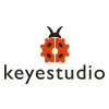 Keyestudio