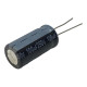 100uF 250V Radial Aluminum Electrolytic Capacitor