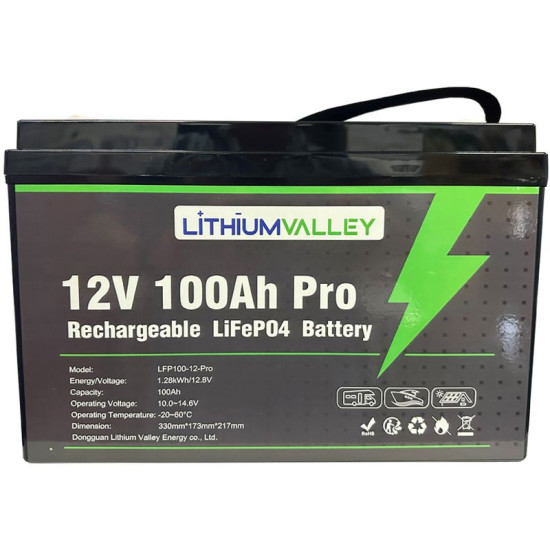 12V 100Ah LiFePO4 Battery Pack with Built-In BMS & Bluetooth 12V 100Ah LiFePO4 Battery Pack with Built-In BMS & Bluetooth