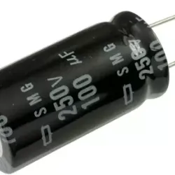 100uF 250V Radial Aluminum Electrolytic Capacitor