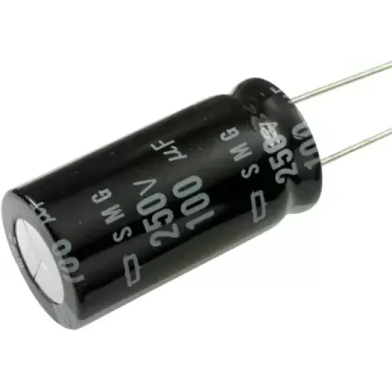 100uF 250V Radial Aluminum Electrolytic Capacitor