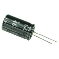 100uF 250V Radial Aluminum Electrolytic Capacitor