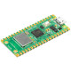 Raspberry Pi Pico W Raspberry Pi Pico W